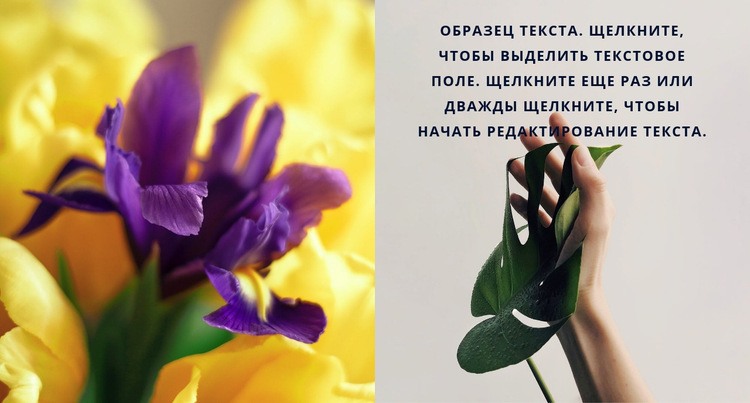 Цветы и весна Дизайн сайта