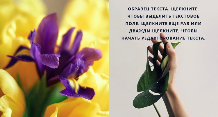 Цветы и весна Шаблон Joomla