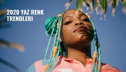 Renk Trendleri - Ücretsiz WordPress Teması