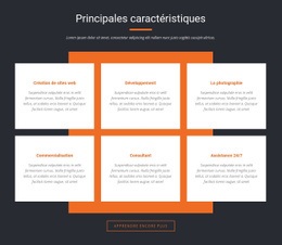 Caractéristiques Importantes - HTML Designer