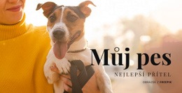 Můj Pes – Šablony Webových Stránek