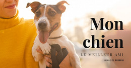 Conception De Pages HTML Pour Mon Chien