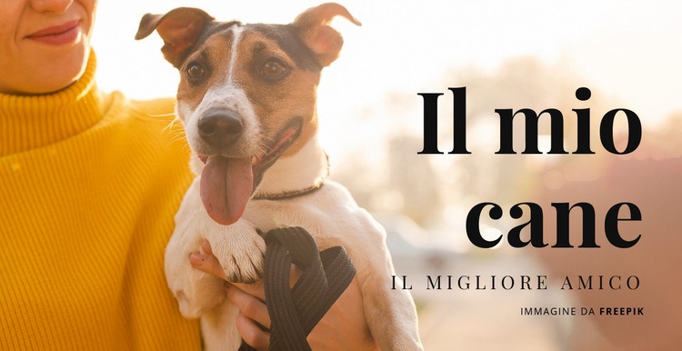 Il mio cane Progettazione di siti web