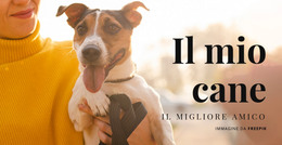 Progettazione Della Pagina HTML Per Il Mio Cane