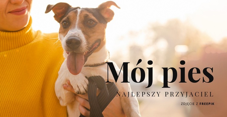 Mój pies Projekt strony internetowej