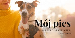 Mój Pies - Szablony Witryn Internetowych