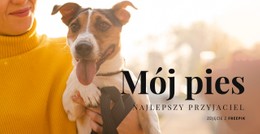 Mój Pies Darmowy Szablon CSS
