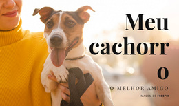 Meu Cachorro - Tema WordPress Gratuito