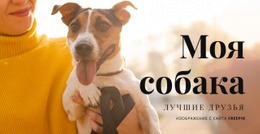 Моя Собака – Настраиваемый Профессиональный Макет Веб-Сайта