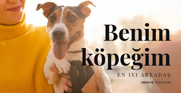 Benim köpeğim Açılış sayfası