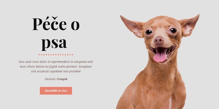 Pes zdravé návyky Téma WordPress