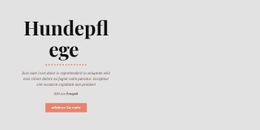 Die Beste HTML5-Vorlage Für Hund Gesunde Gewohnheiten