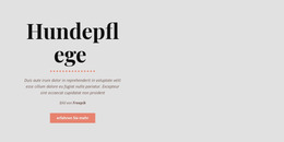 Hund Gesunde Gewohnheiten – Joomla-Theme