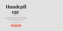 Site-Design Für Hund Gesunde Gewohnheiten