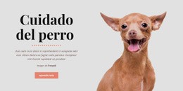 Hábitos Saludables Para Perros: Creador De Sitios Web Fácil De Usar