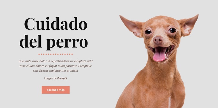 Hábitos saludables para perros Maqueta de sitio web