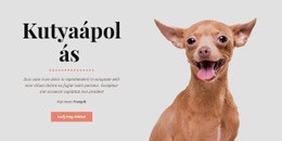 A Kutya Egészséges Szokásai – Személyes Webhelysablon
