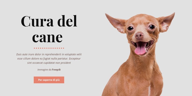 Abitudini sane del cane Costruttore di siti web HTML