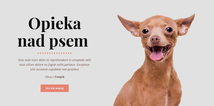 Zdrowe nawyki psa Makieta strony internetowej