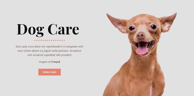 Hábitos saudáveis de cães Design do site