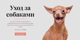 Здоровые Привычки Собак Шаблон Таблицы CSS