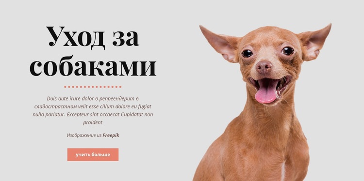 Здоровые привычки собак HTML5 шаблон