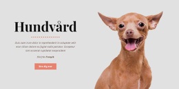 Hundens Hälsosamma Vanor - Responsiv Webbplats