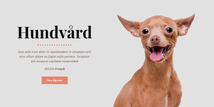 Hundens hälsosamma vanor HTML-mall