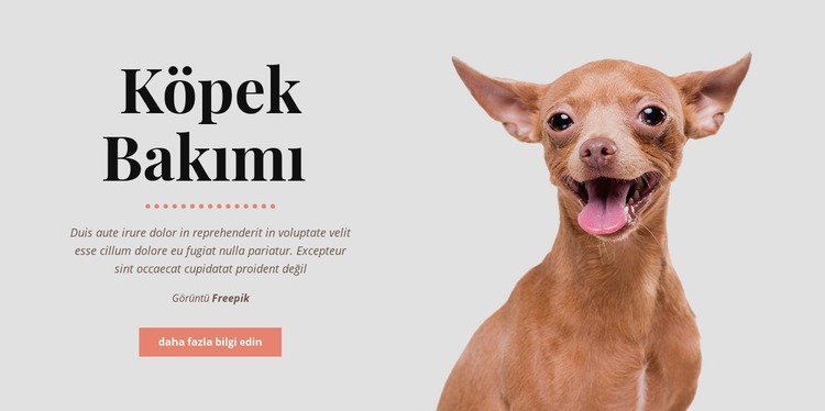 Köpeklerin sağlıklı alışkanlıkları Web Sitesi Mockup'ı