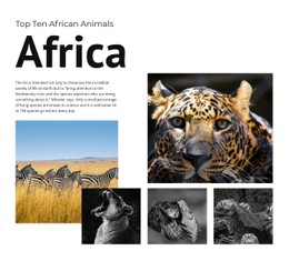 Ten African Animals Simple CSS Template
