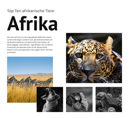 Benutzerdefinierte Schriftarten, Farben Und Grafiken Für Zehn Afrikanische Tiere