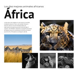 Diez Animales Africanos: Plantilla Adaptable HTML5