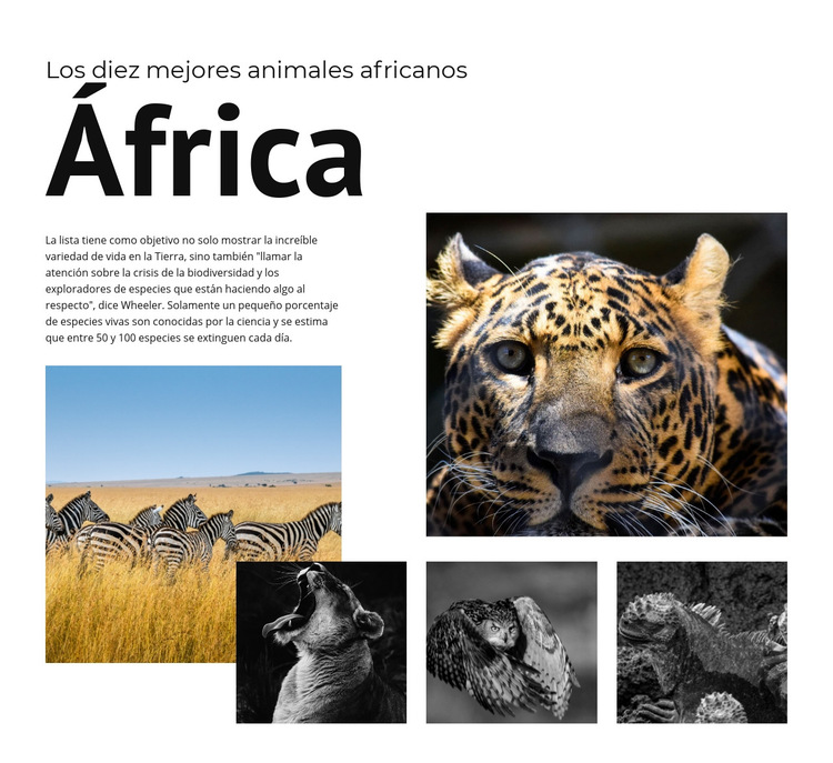 Diez animales africanos Plantilla de sitio web