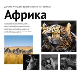 Десять Африканских Животных – Шаблон HTML-Страницы