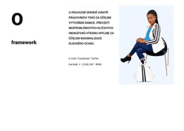 Šablona CSS Pro O Obchodní Škole