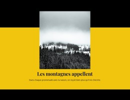 La Montagne Appelle Modèle De Formulaire CSS