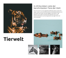 Afrika Wildlife - Site-Vorlage