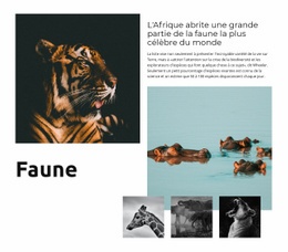 Afrique Faune Modèle De Site Web HTML CSS
