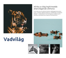 Afrika Vadvilága - Webhelysablon