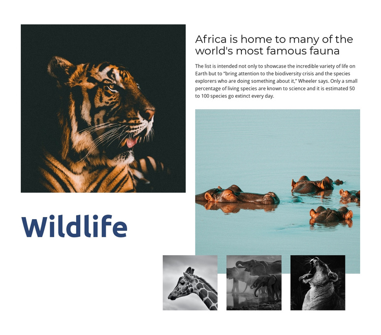 Africa Wildlife Joomla Template