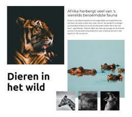 Afrika Wildlife - Websitesjablonen
