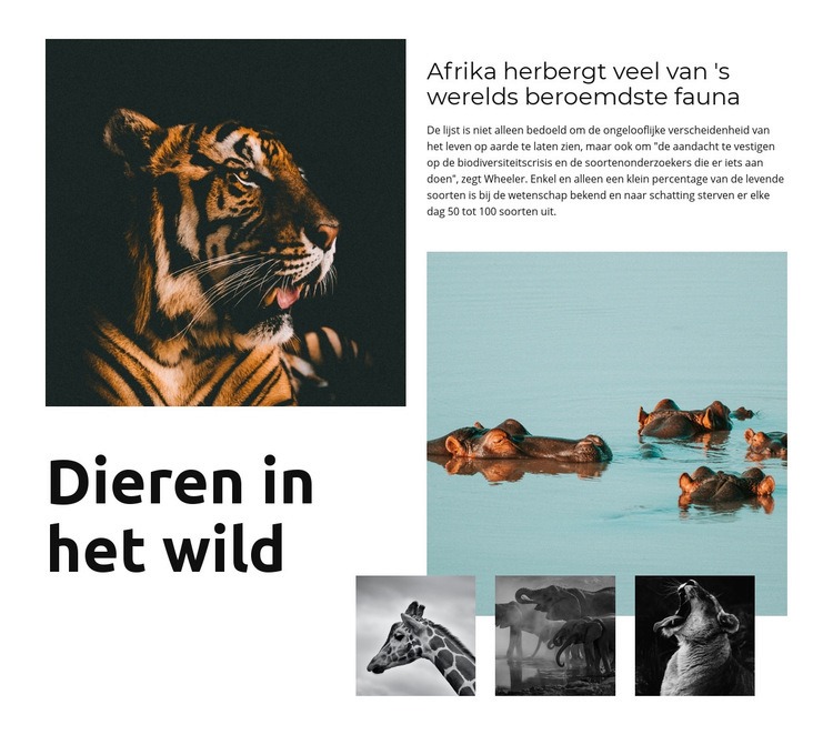 Afrika Wildlife Sjabloon voor één pagina