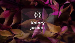 Jasne Kolory Jesieni - Prosty Motyw WordPress