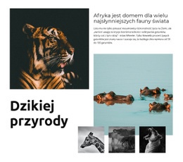 Afryka Wildlife - Szablony Witryn Internetowych