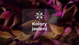 Jasne Kolory Jesieni #Templates-Pl-Seo-One-Item-Suffix