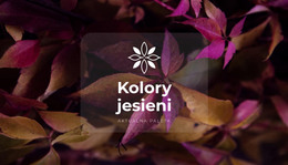 Jasne Kolory Jesieni - Kod Szablonu HTML