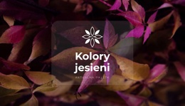 Jasne Kolory Jesieni - Prosty Szablon HTML5