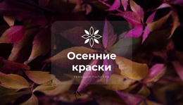 Яркие Цвета Осени – Простая Тема WordPress