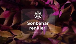 Parlak Sonbahar Renkleri - Güzel Şablonlar Oluşturun