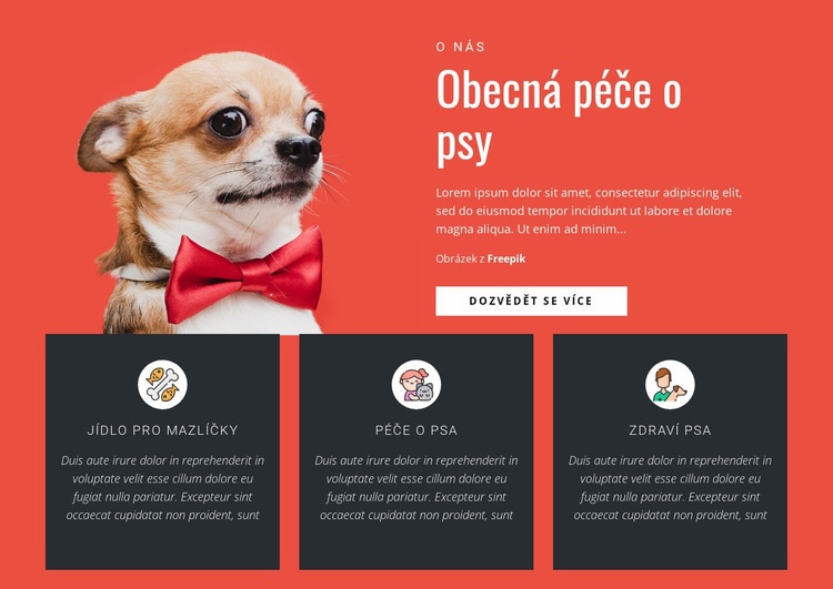 Obecná péče o psy Šablona HTML